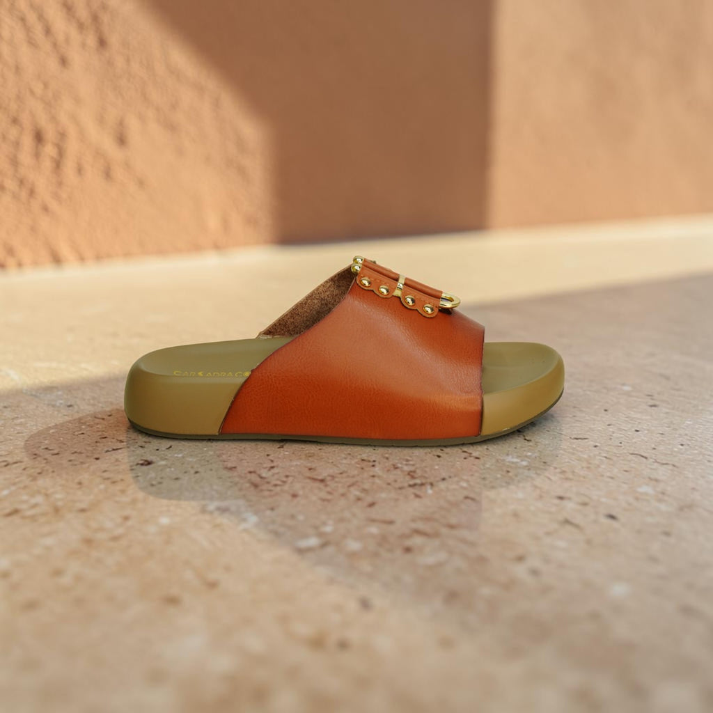 Button Design Flat Slide-1073