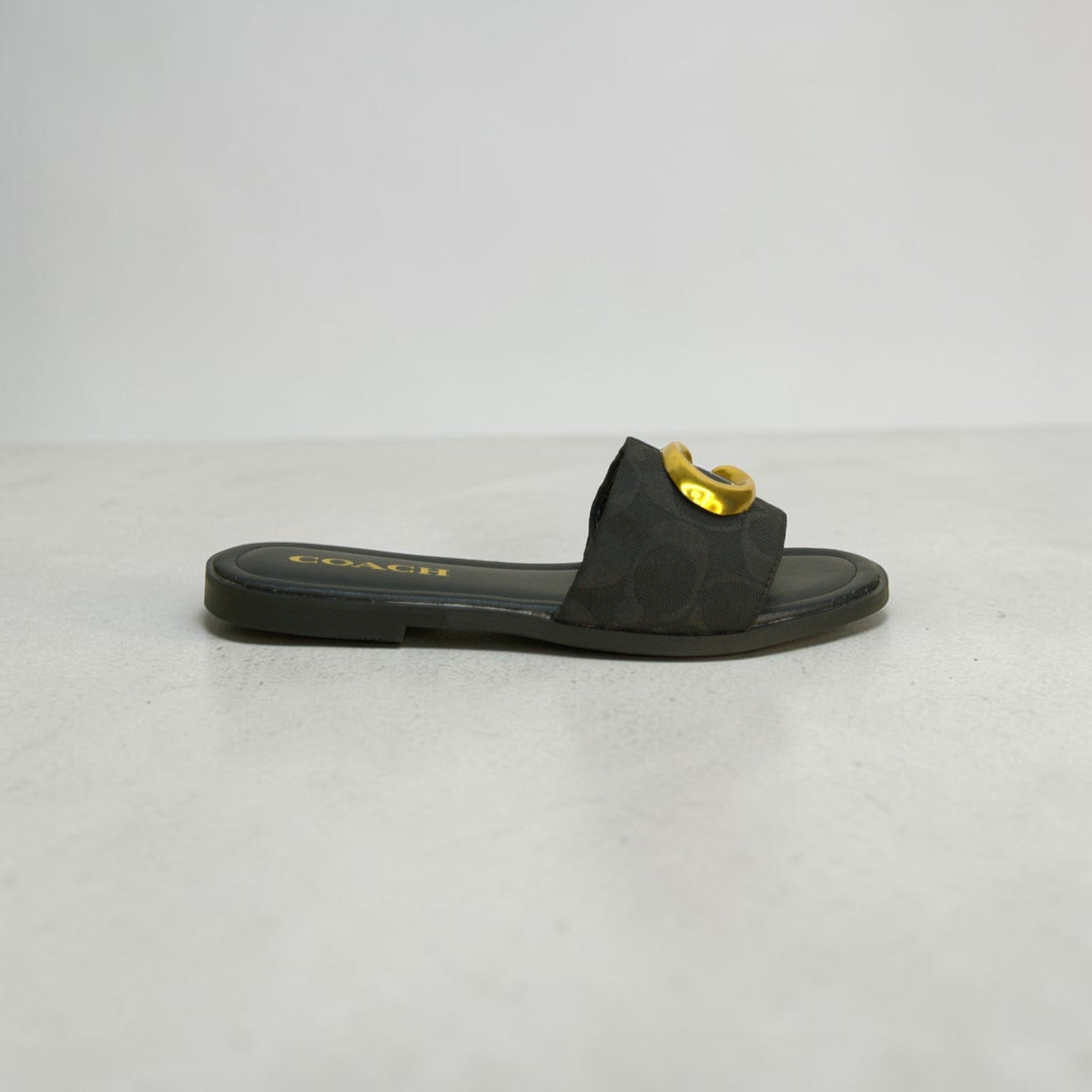 Coach Signature Canvas Slide-1068