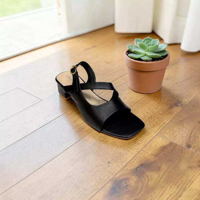 Women's Box Heel-1099 Main Image